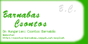 barnabas csontos business card